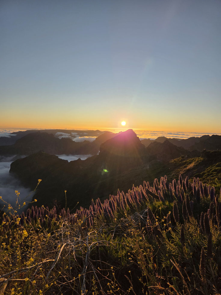 Sunset Tour