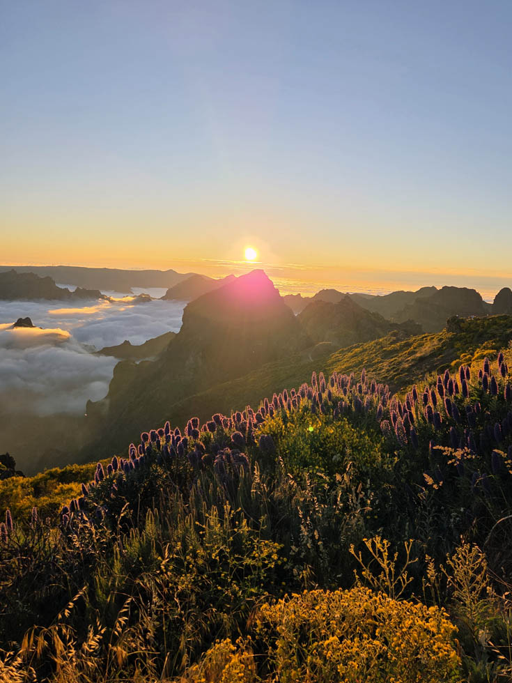 Madeira sunset tour