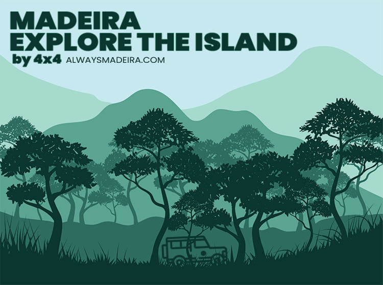 Explore the island of Madeira