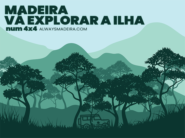 Vá Explorar a Ilha da Madeira