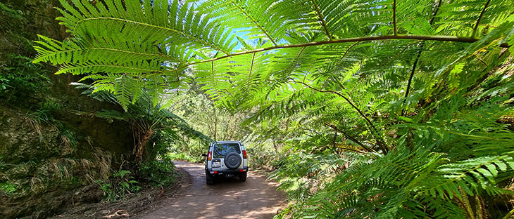 Pics Pittoresques - Excursion 4x4 privée d'une demi-journée