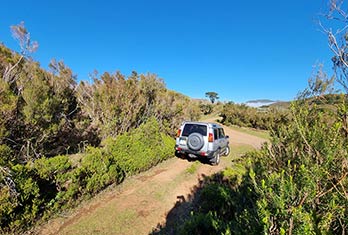 Tout terrain à Fanal