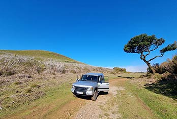 Profiter de la vue à Fanal