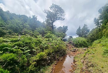 Sorties hors-piste à Fanal