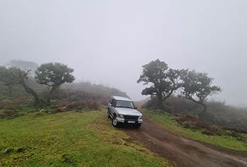 Fanal avec le brouillard habituel
