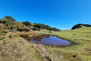 Un lac d'hiver à Fanal