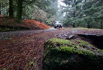 En route pour Ribeiro Frio