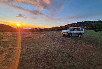 Profiter de la lumière