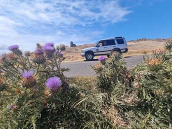 3 - 17 Nord-Est Touristique