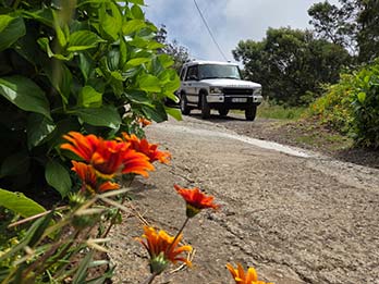 14 - 16 Expérience Région Centrale