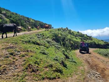 16 - 16 Expérience Région Centrale