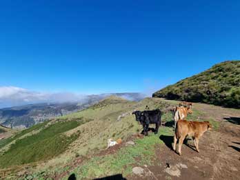 3 - 16 Expérience Région Centrale