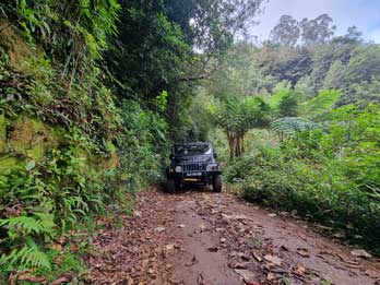 5 - 12 Parc Jurassique