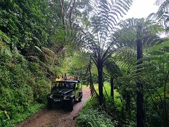 6 - 12 Parc Jurassique