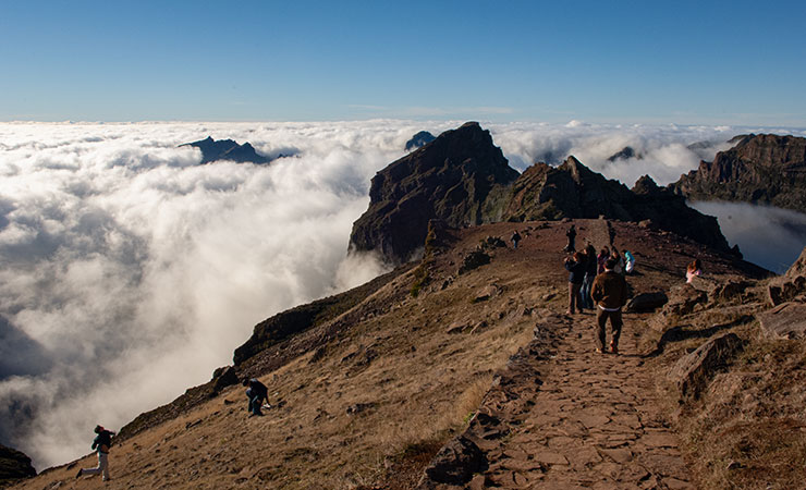 Northeast Northeast Tour