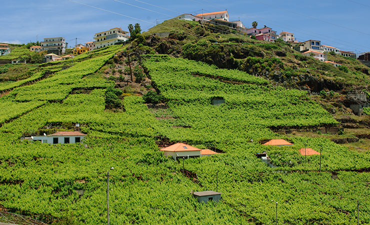 Central Region Experience Wine Tasting, Barbecue & Hike