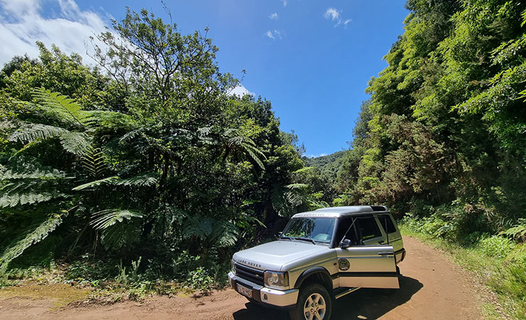 Jurassic Park Off-road Adventure in forest