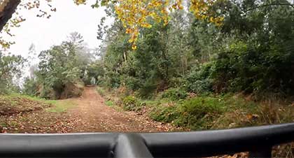 Madeira 4x4